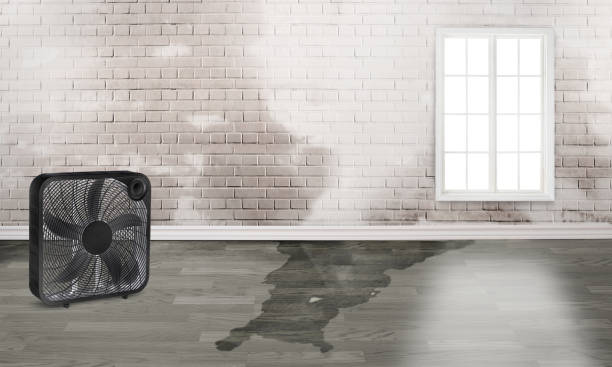 Water damage restoration process in Vermillion, SD